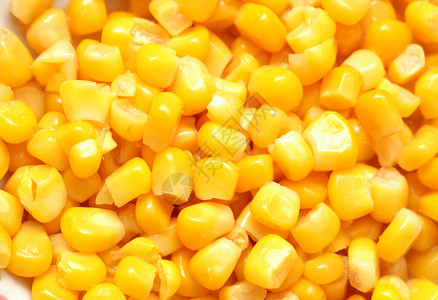 作为背景排列的甜玉米粒图片