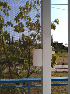保护蚊子网贴在窗门上在外面阳光明媚图片