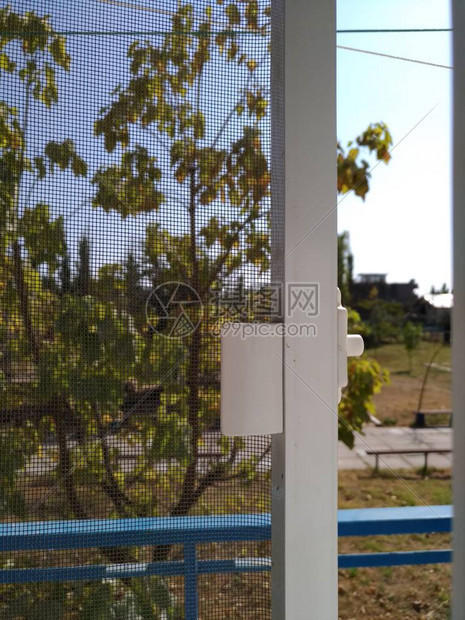 保护蚊子网贴在窗门上在外面阳光明媚图片