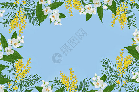 黄色春天的花丛含羞草茉莉花卉背景图片