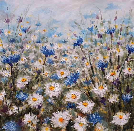 花卉白花的领域矢车菊和雏菊林间空地夏花草自然画布上的原始花卉油画现代印图片