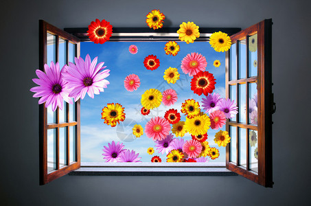 透过开放窗口进入许多彩花朵的图片