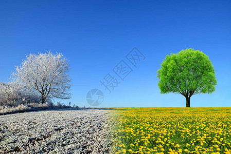 冬天和春天的风景与蓝天变图片