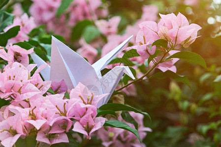 花枝上白一只纸鹤的宏图图片