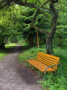 公园里多节的绿树下的长木凳这张照片是在斯洛伐克马丁地区的TurcianskaStiavnicka图片