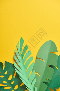 黄背景绿色棕榈叶有复制空间的外观纸背景图片