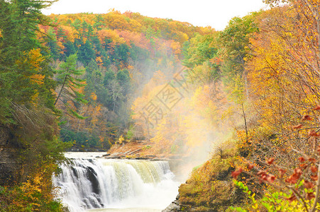 林奇沃斯州公园秋季瀑和图片