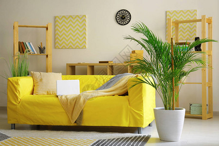 室内装饰槟榔棕榈图片