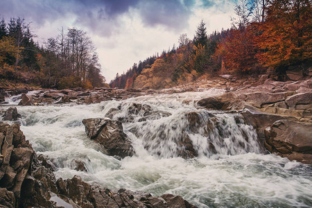 水是被冲洗的山石秋天森林中的河流自然的美丽旅行和度假概念远图片