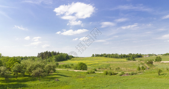 绿色农村绿地和森林夏季全景观图片