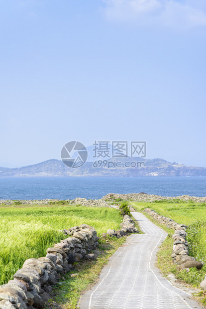 韩国济州岛Gapado岛绿大麦田景中图片