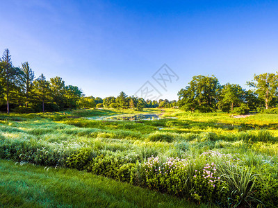 眺望草原湿地景观的美丽景色图片