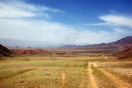 哈萨克斯坦沙漠山的春图片