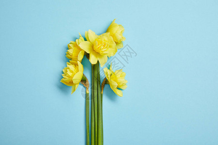 蓝色黄自恋花朵的美丽图片