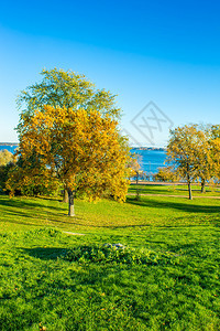 海边草木秋色的公园图片