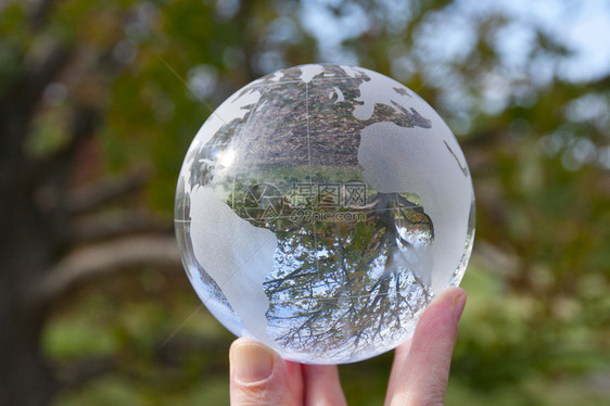 玻璃球中一棵树和天空的倒影图片