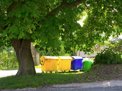 栗树下的回收容器图片