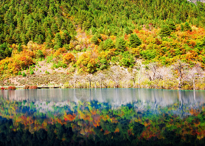 四川省济海河谷自然保护区JiuzhaiValleyNationalPark景色惊人的景象图片