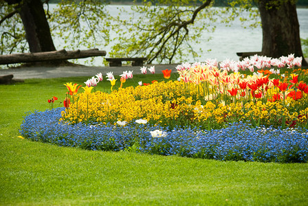 春天美丽的花园背景图片