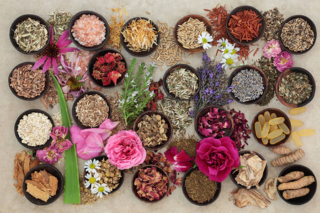 草药和花卉选择用于草药治疗麻纸背景上的牛皮癣和图片