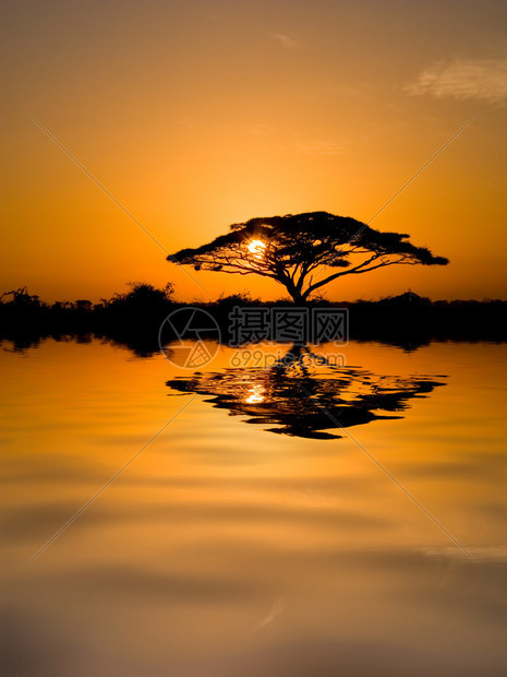 美丽的非洲日出反射在湖面上图片