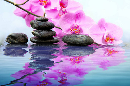 粉红色的兰花和spa石头与水滴隔离水中的倒影图片