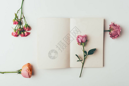 美丽的嫩粉红色花朵和灰色空白卡的顶部视图图片