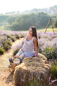 微笑的孕妇坐在紫罗兰色薰衣草田的干草捆上背景图片