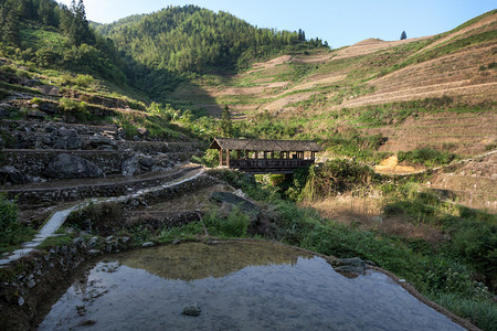 一座建于两万多年前的古木桥横跨广西山图片