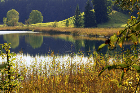 在德国巴伐利亚奥斯特西湖初秋的温暖日子里会出现不真实的气氛图片