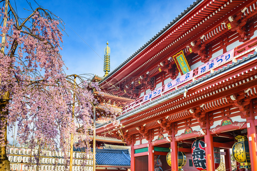 日本东京浅草的森素吉寺高清图片下载-正版图片503365228-摄图网