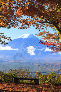 日本富士山秋季黄色图片