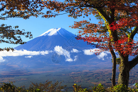 日本富士山秋季黄色图片