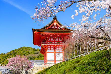 日本京都春天在清水寺背景图片