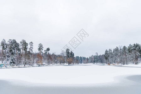 美丽的风景雨雪覆盖树木冬季公图片