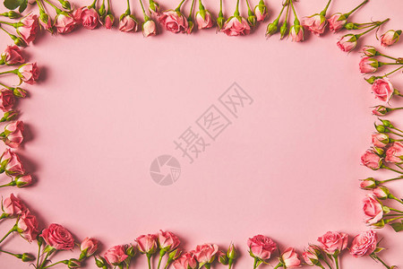 由美丽的粉红色玫瑰和粉红色空间复制而图片