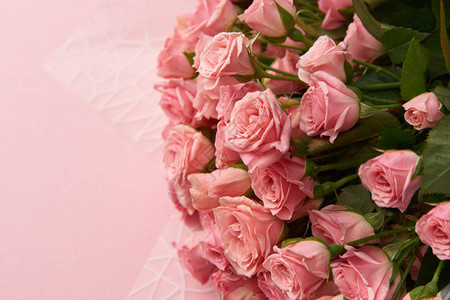 近距离观看粉红玫瑰花的美丽鲜嫩将花朵隔图片