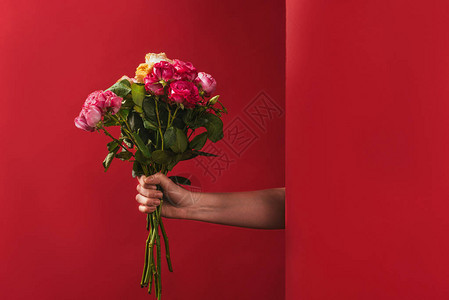 红色上盛着美丽的玫瑰花图片