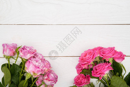 美丽的粉红玫瑰的顶端景色木图片
