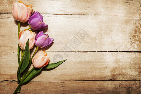粉色和紫色郁金香放在旧木板桌上图片