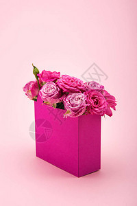 近距离观看美丽的鲜花装饰用粉红色隔图片
