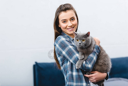 女孩抱着英国短头发猫图片