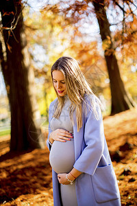 摆在秋天公园的孕妇背景图片