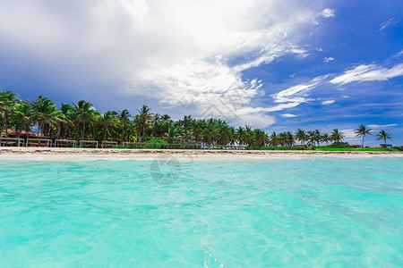 古巴卡约科岛在蓝色天空背景下的美丽美丽的热带棕榈沙滩和图片
