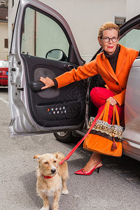 时尚成熟的女士穿着眼镜和漂亮的橙色装饰带着她的小狗从车门开着图片
