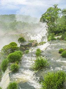 美国热带雨林以南Iguassu瀑图片