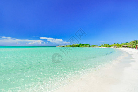 热带白色沙滩和蓝天上宁静的绿松石海洋的迷人景色图片
