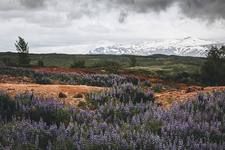 冰岛风雪覆盖着美丽的紫色和山脉风景优图片
