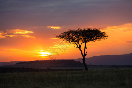 非洲肯尼亚美丽的日落图片