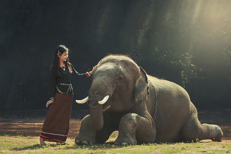 亚洲泰国女孩和大象图片